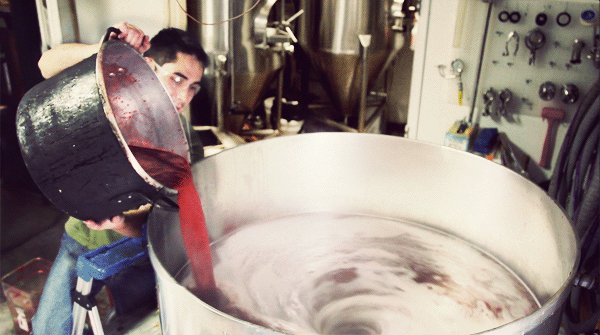 dogfish-6-600