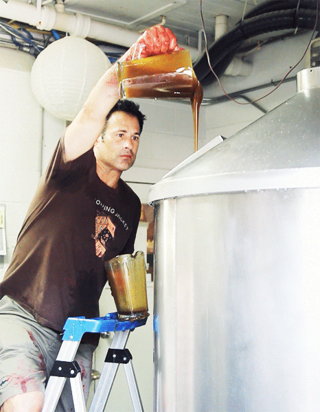 dogfish-7-600